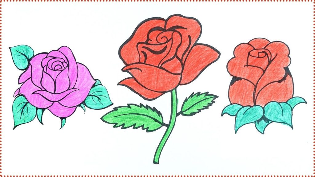 как нарисовать розу