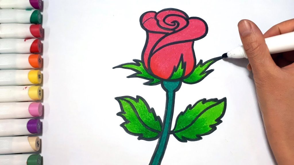 како да нацртате роза