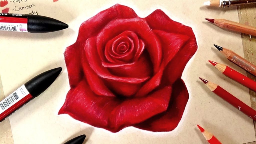 cara menggambar bunga mawar