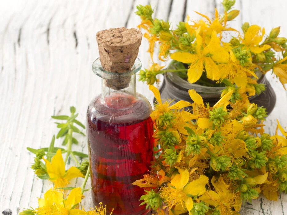 How to Use St John's Wort Oil For Nerve Pain