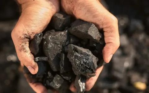 石炭とは
