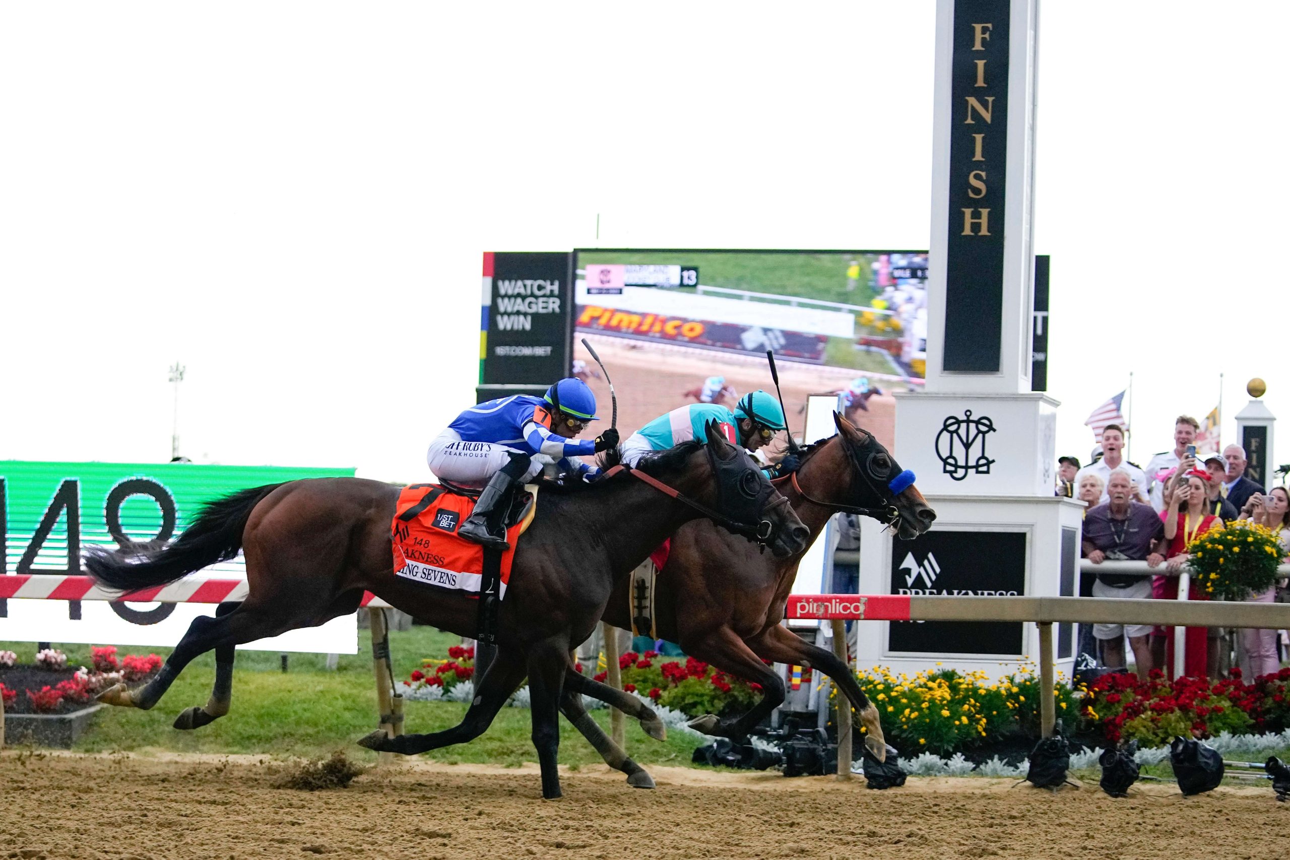 National Treasure Triumphs at Preakness Amidst Cloud of Horse Deaths