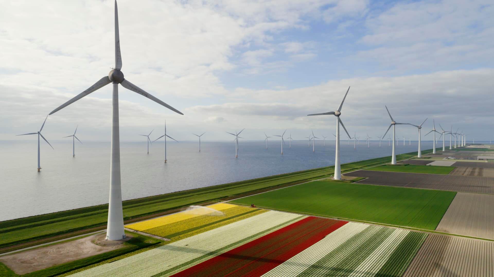 Wind Power Surpasses Gas as Main Source of UK Electricity