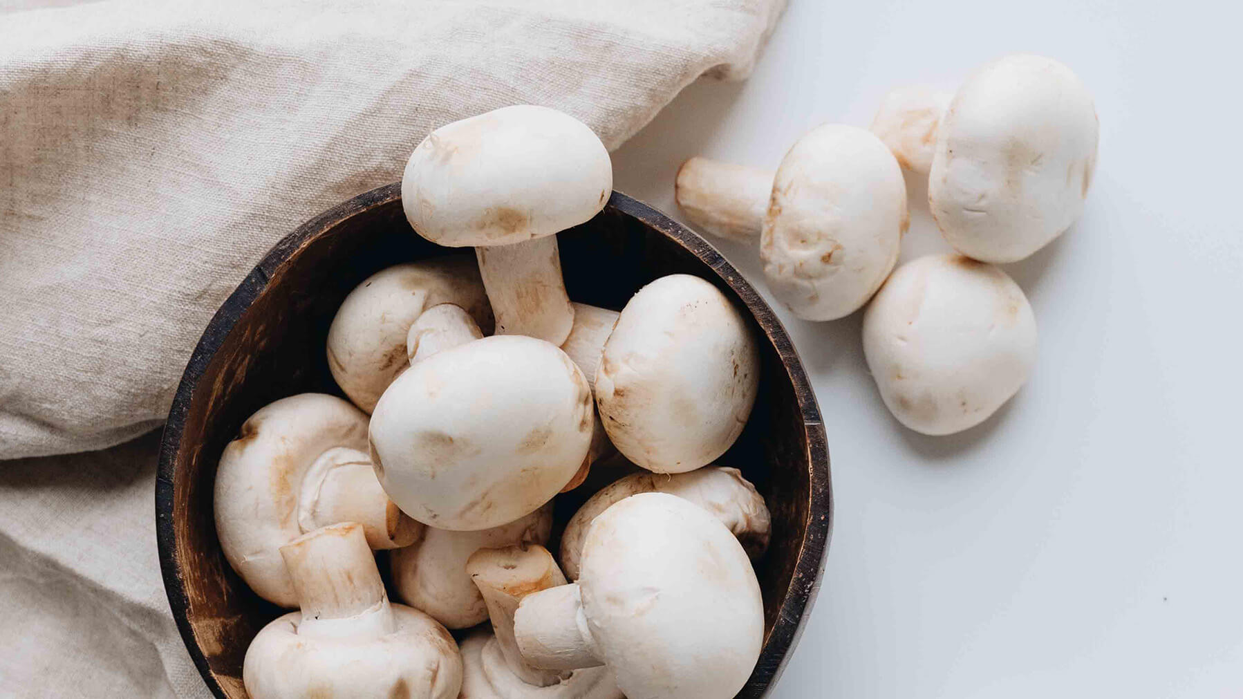 Hillbilly Mushrooms: A Hidden Delight in Wild