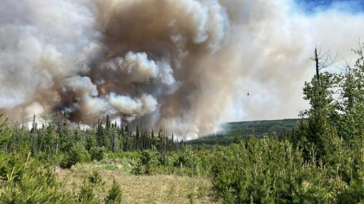 Canadian Wildfires
