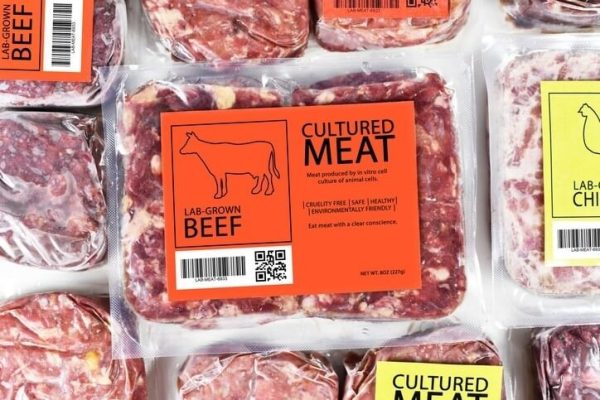 Cultivated Meat 