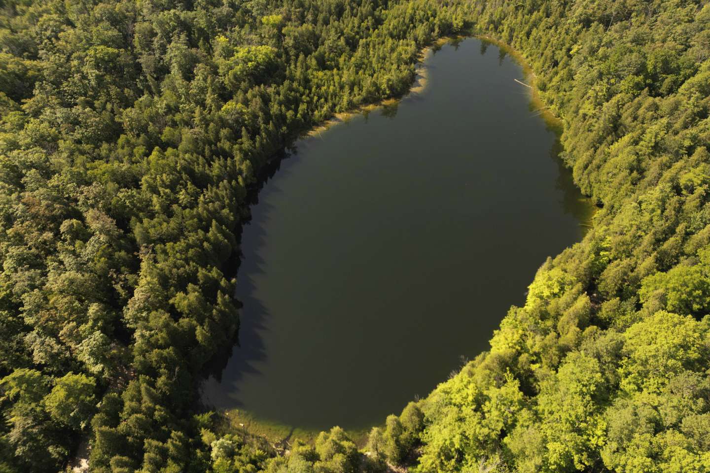 Anthropocene Era Crawford Lake: Canada’s Symbol of Human Impact