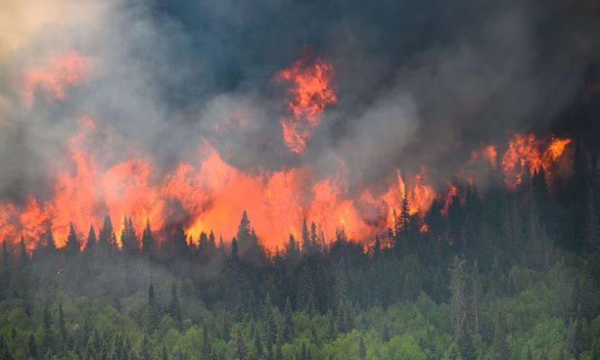 BC Wildfire Fighters Sacrifice
