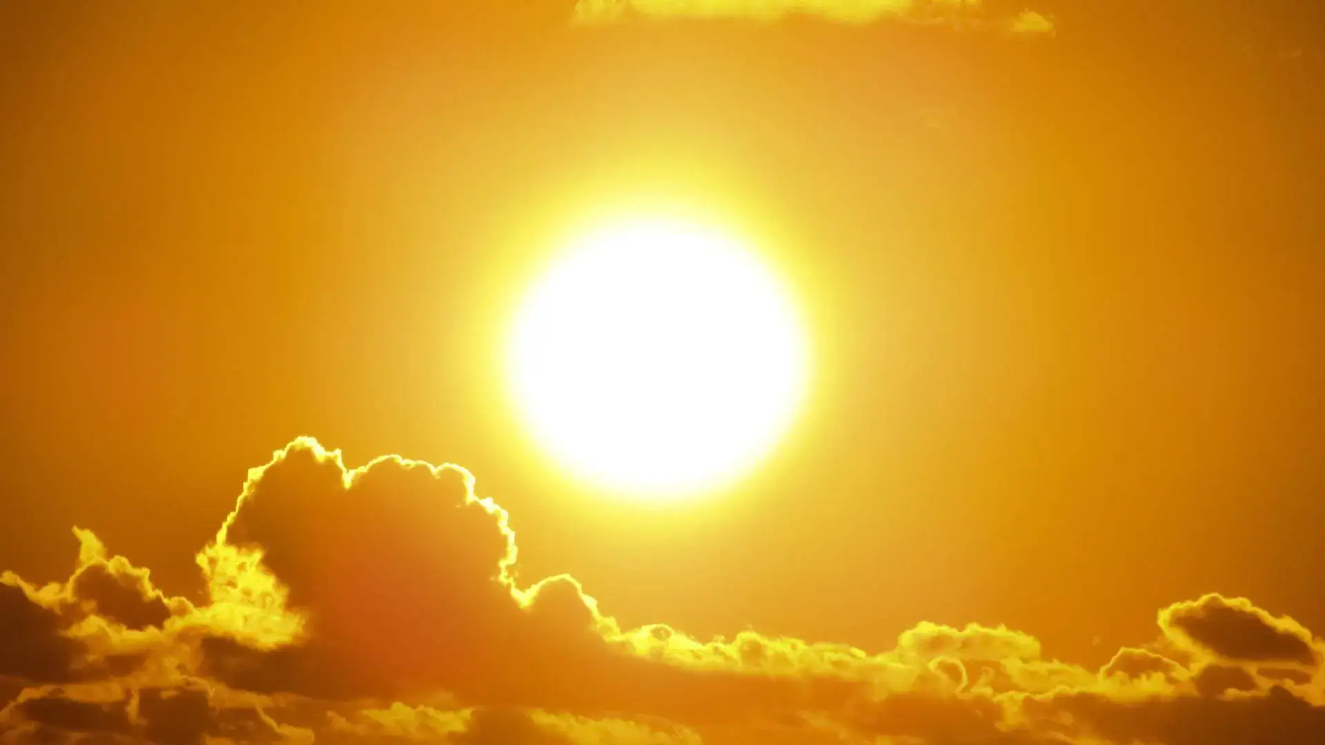 วันที่ร้อนที่สุดเป็นประวัติการณ์: การตื่นตัวสำหรับการดำเนินการด้านสภาพอากาศ