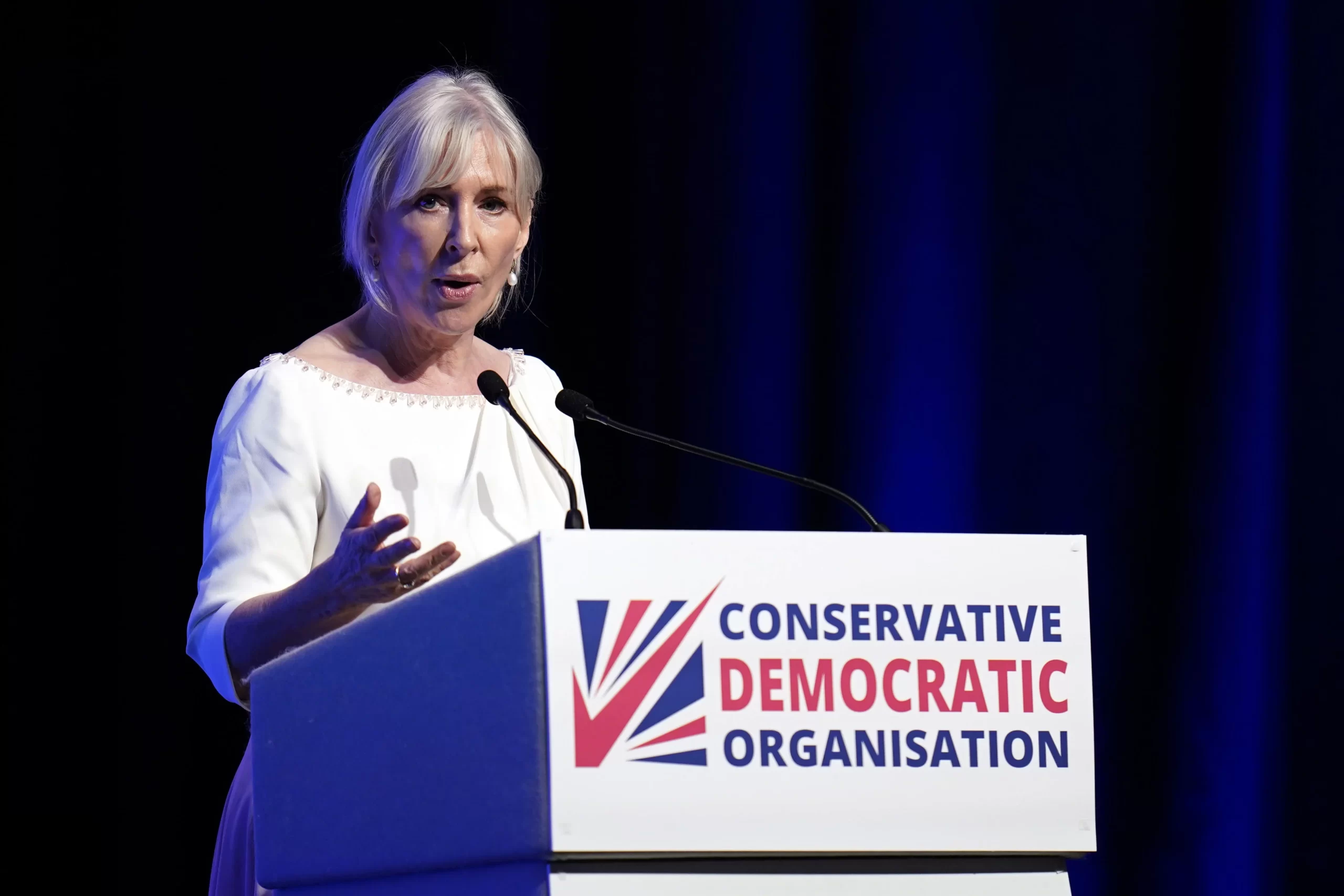 Nadine Dorries UK Politics: Prime Minister Questions Her Representation