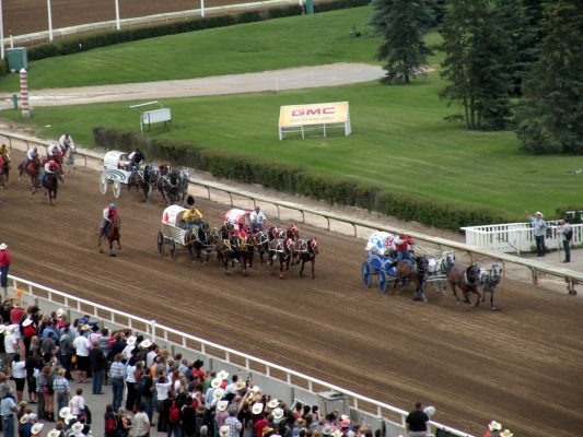 Selkirk Rodeo Horse Euthanization Incident