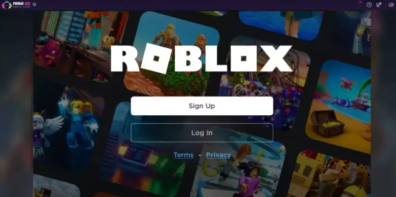 How to Play Roblox on a School Chromebook