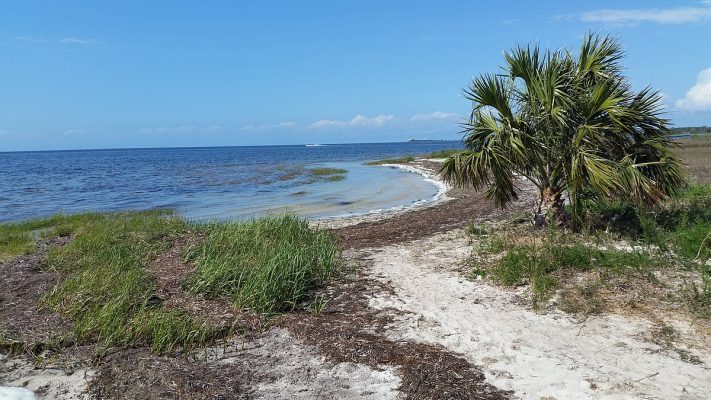 Trávnatý ostrov Florida