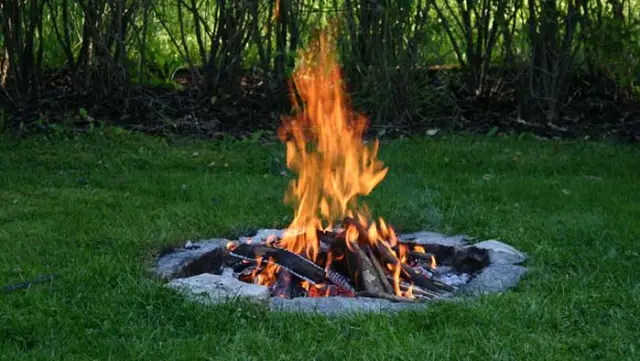 Michigan Burn Permit