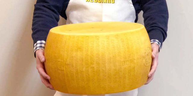 치즈의 바퀴 무게
