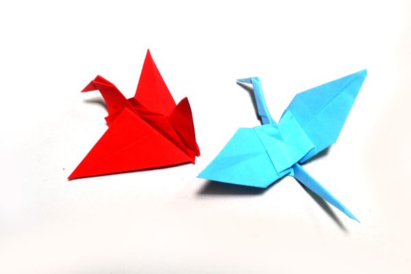 วิธีการสร้างนก Origami