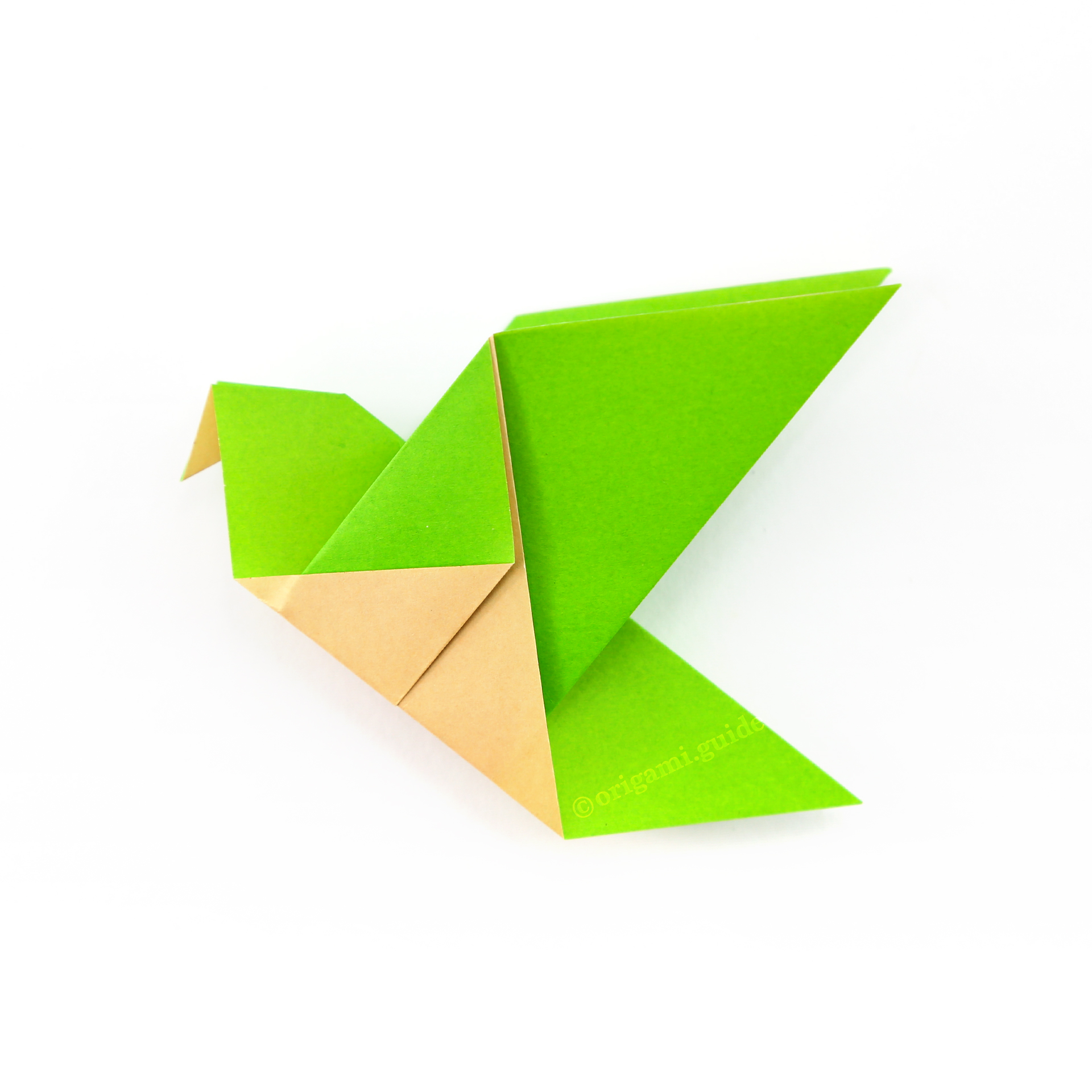 วิธีการสร้างนก Origami