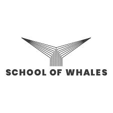 School of Whales: Matalinong Pamumuhunan sa Real Estate