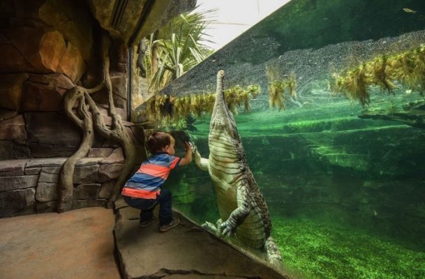 The Best Zoos in The UK