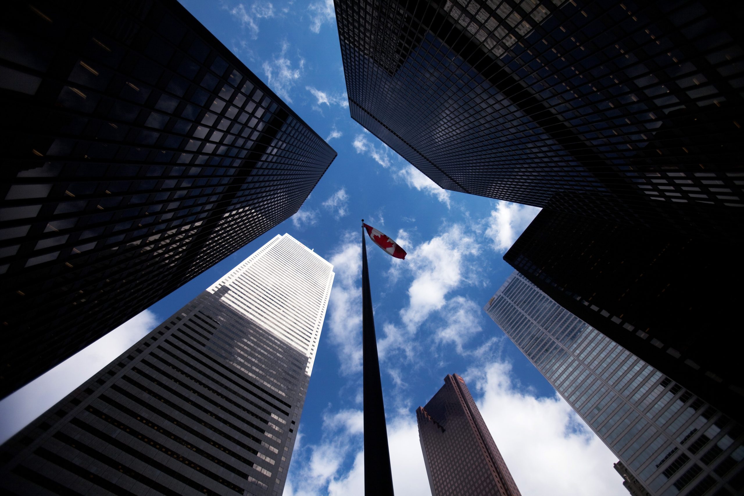 PMI в сфере услуг Канады: проблеск надежды в январе