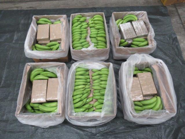 Националната агенция за борба с престъпността конфискува рекордните £500 милиона кокаин, скрит в пратка банани