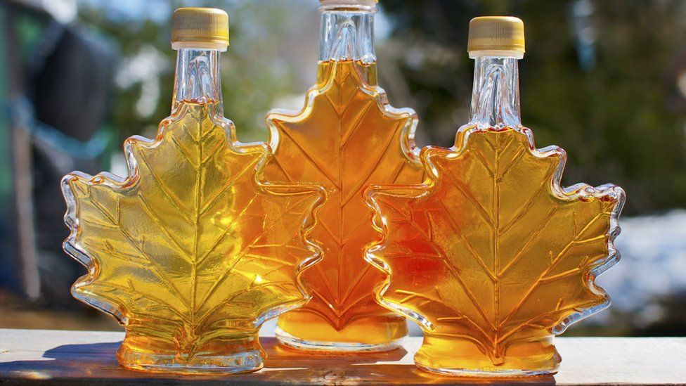 Cadangan Sirup Maple Kanada Menurun Hingga Tingkat Sangat Rendah