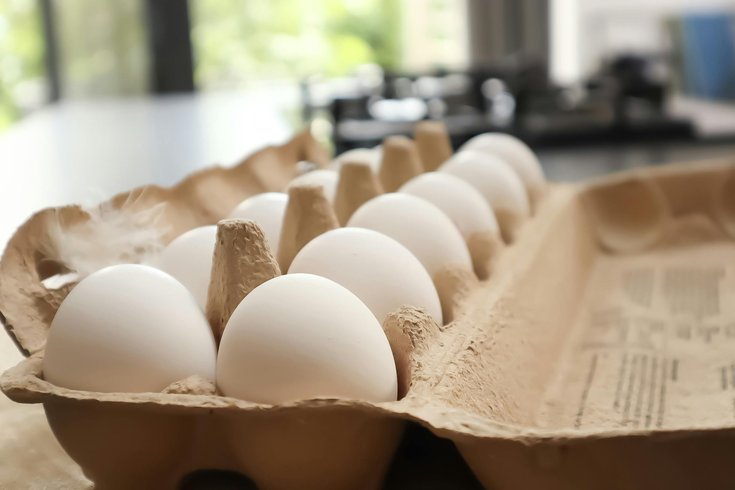 Ali so jajca in mlečni izdelki še vedno na jedilniku? Kaj morate vedeti o aktualnem izbruhu ptičje gripe