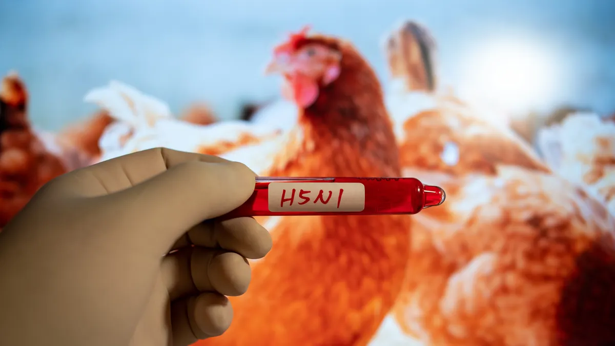禽流感在全国蔓延