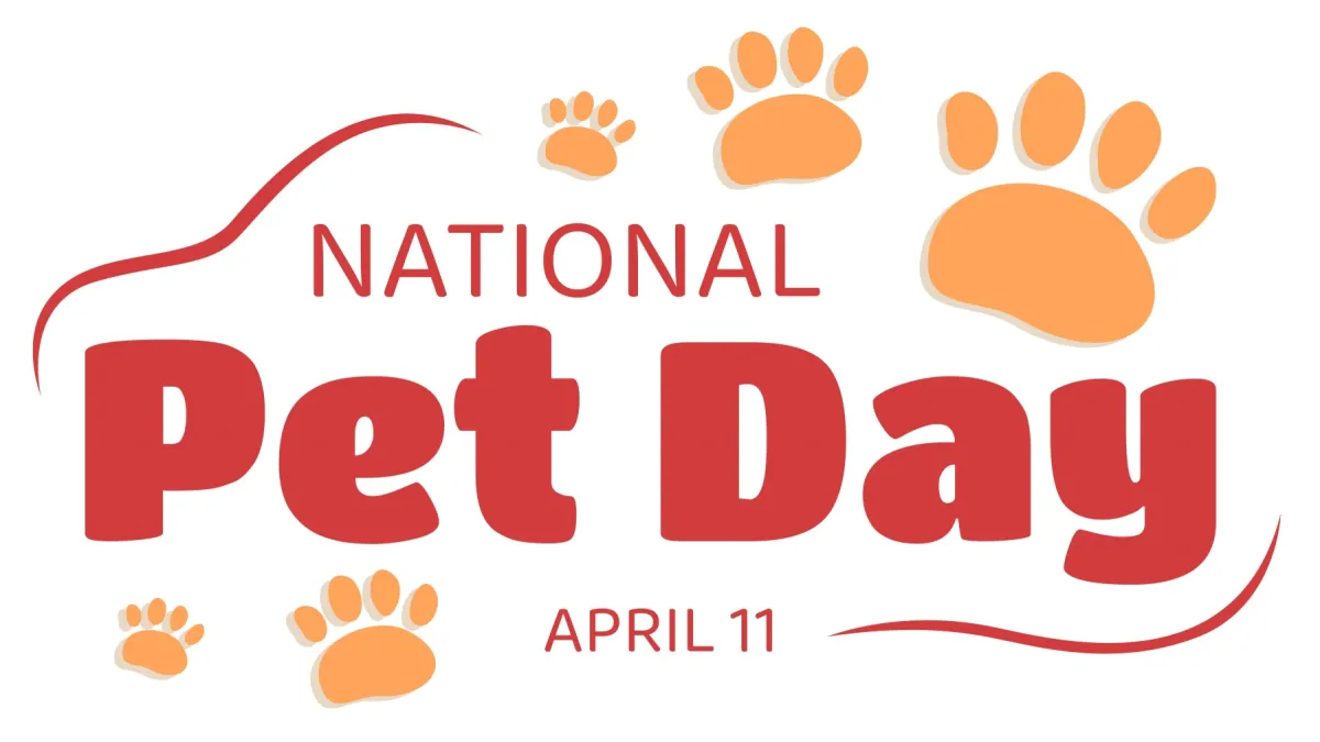 Vi fejrer vores lodne venner på National Pet Day
