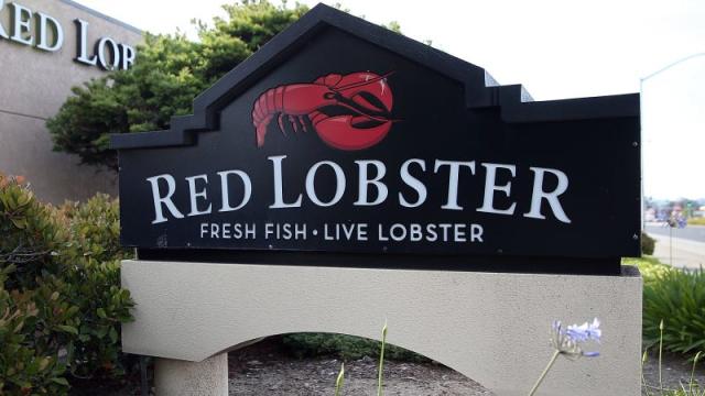 Is America’s Favorite Seafood Chain Facing Hard Times? Red Lobster Struggles to Stay Afloat